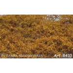 Rovi/Cesp autunno foglie picc